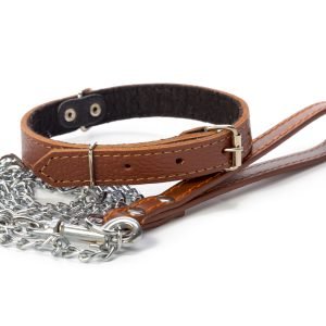 Premium Adjustable Dog Collar – Nylon & Padded Comfort