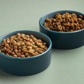 domestic-pet-food-assortment (1)